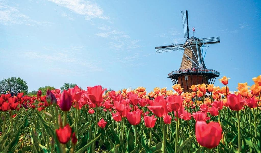 Tulip Time Festival