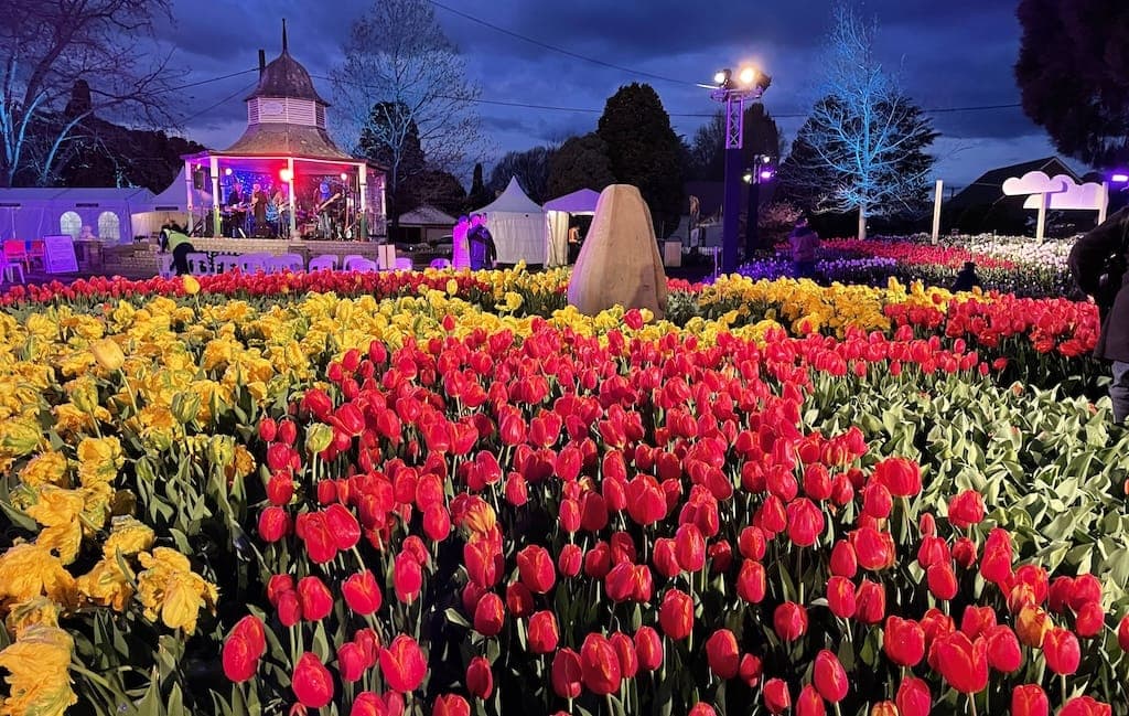 Tulip Time Michigan