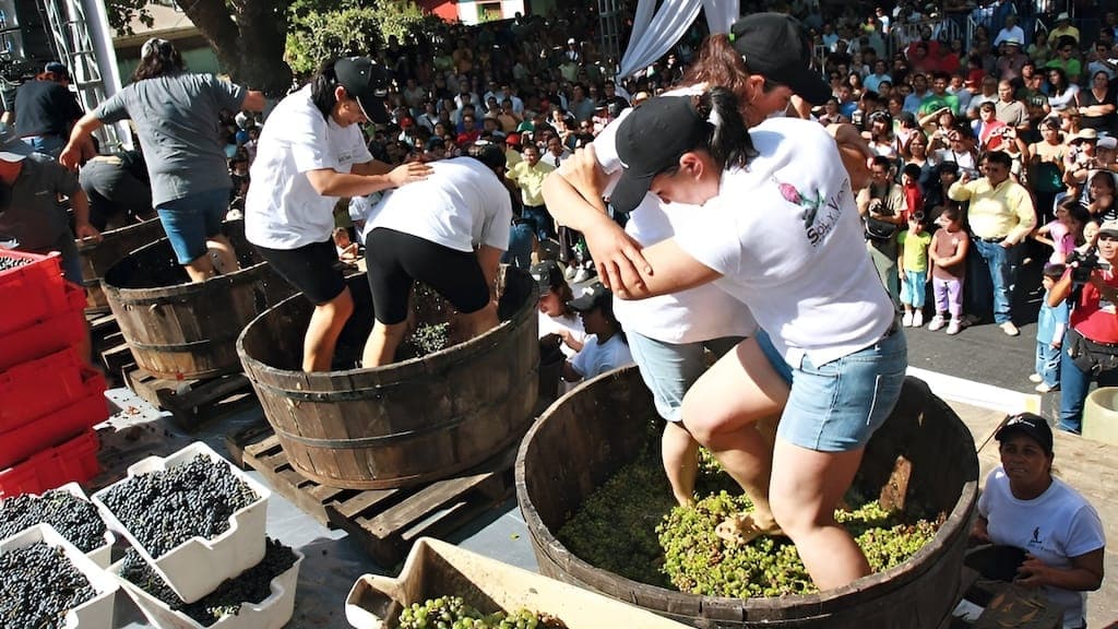 Fiesta Nacional de la Vendimia (Mendoza, Argentina)